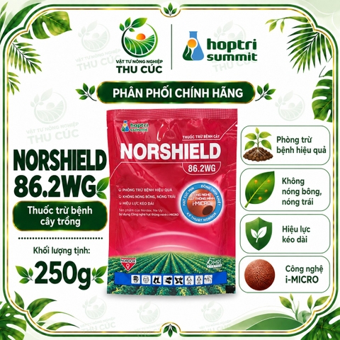 NORSHIELD 86.2WG – ĐỒNG TINH KHIẾT, HỖ TRỢ QUẢN LÝ RỈ SẮT CÀ PHÊ VÀ THÁN THƯ ĐIỀU