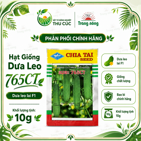 HẠT GIỐNG DƯA LEO AMATA 765CT CHIA TAI 10G – GIỐNG F1, TRÁI ĐẸP, THU HOẠCH SỚM