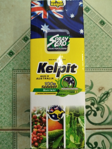 KELPIT 500ML – RONG BIỂN ÚC HỖ TRỢ RA RỄ, BẬT CHỒI VÀ PHỤC HỒI CÂY