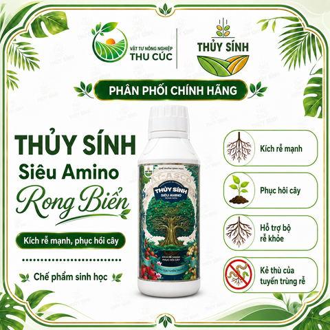 SIÊU AMINO RONG BIỂN THỦY SÍNH 1L – KÍCH RỄ MẠNH, PHỤC HỒI CÂY