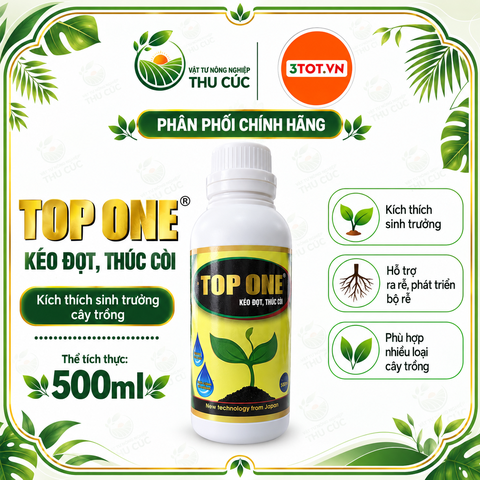 TOP ONE – PHÂN BÓN KÉO ĐỌT, THÚC CƠI, HỖ TRỢ NUÔI TRÁI