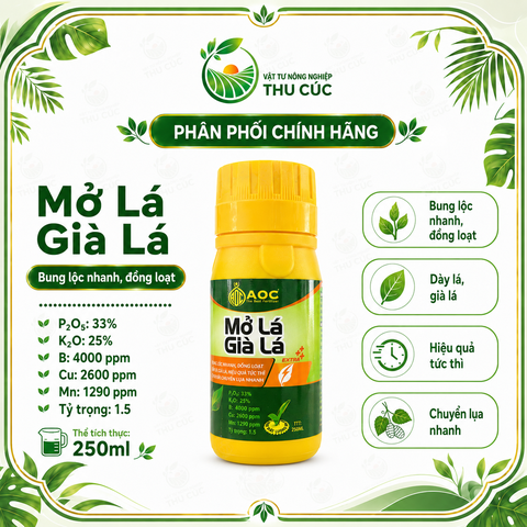 AOC Mở Lá Già Lá 250ml – Bung Lá Đồng Loạt, Nhanh Già Lá, Đứng Đọt