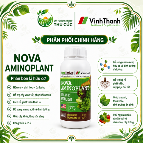 Nova Aminoplant Vĩnh Thạnh – Amino Acid 12,04% + Hữu Cơ 23,72% Phục Hồi Cây, Tăng Hấp Thu Dinh Dưỡng