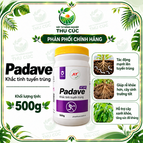 PADAVE 10⁶ WP 500G – VI SINH QUẢN LÝ TUYẾN TRÙNG, HỖ TRỢ PHỤC HỒI VÀ BẢO VỆ BỘ RỄ