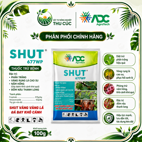 SHUT 677WP – ĐÁ BAY VÀNG LÁ, KHÔ CÀNH