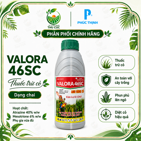 VALORA 46SC – THUỐC TRỪ CỎ RUỘNG NGÔ | CHAI 800ML