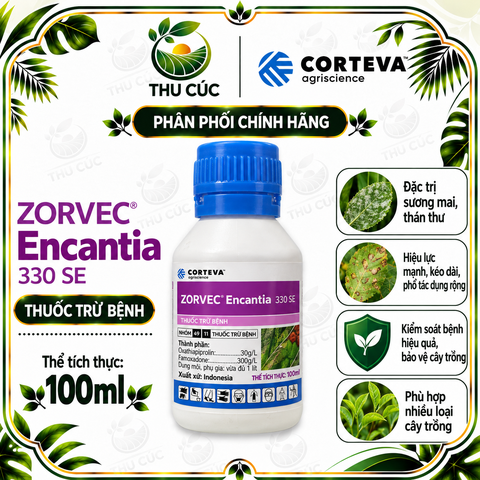 ZORVEC™ Encan­tia 330SE – Thuốc trừ bệnh trên cà chua, khoai tây, dưa leo, hồ tiêu và sầu riêng