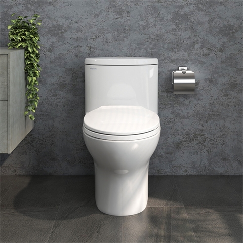 5 Yếu Tố quyết Định Một Chiếc Bồn Cầu Luôn Sạch Sau Nhiều Năm