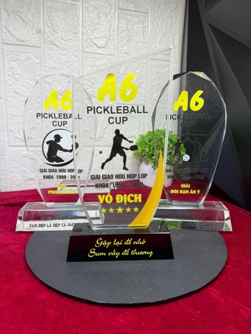 Cúp pickleball nhất nhì ba