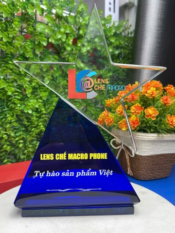 Kỷ niệm chương TK hình sao
