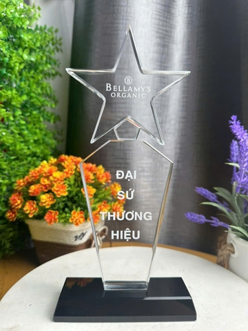 Kỷ niệm chương ngôi sao pha lê