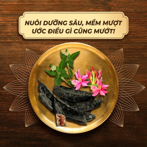 Dầu Gội Sạch Gàu Clear 9 Thảo Dược Cổ Truyền 630g