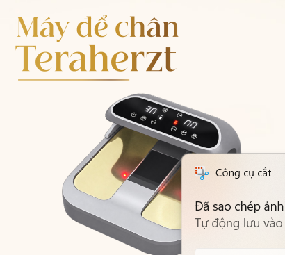 Máy để chân teraheazt