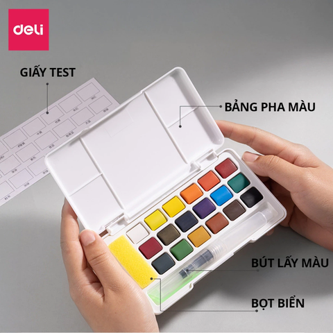 Màu nước dạng nén DELI