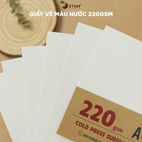 Giấy mỹ thuật Canson 220gsm xấp 10 tờ