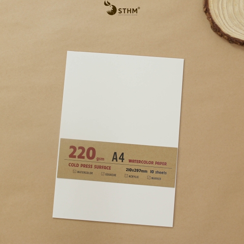 Giấy mỹ thuật Canson 220gsm xấp 10 tờ