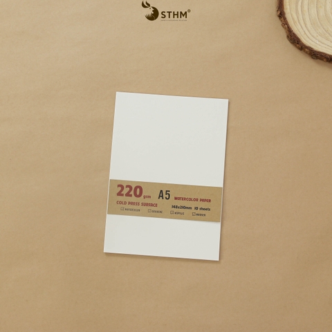 Giấy mỹ thuật Canson 220gsm xấp 10 tờ