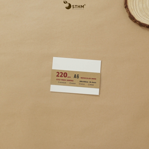 Giấy mỹ thuật Canson 220gsm xấp 10 tờ