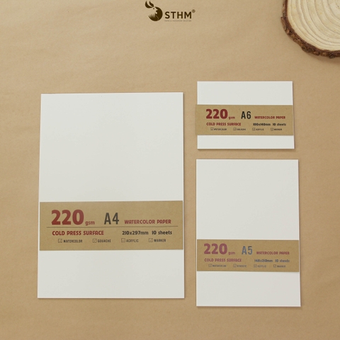 Giấy mỹ thuật Canson 220gsm xấp 10 tờ