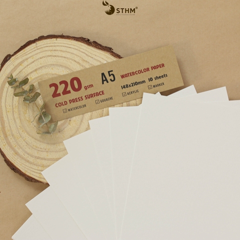 Giấy mỹ thuật Canson 220gsm xấp 10 tờ