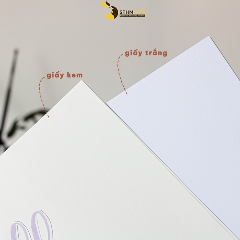 Giấy kem 100gsm xấp 100 tờ