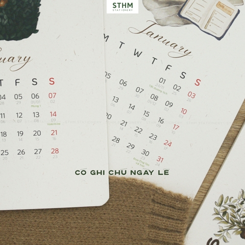 Combo LBĐG Lifestyle + đế gỗ