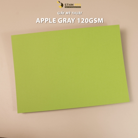 Giấy mỹ thuật 120gsm xấp 10 tờ