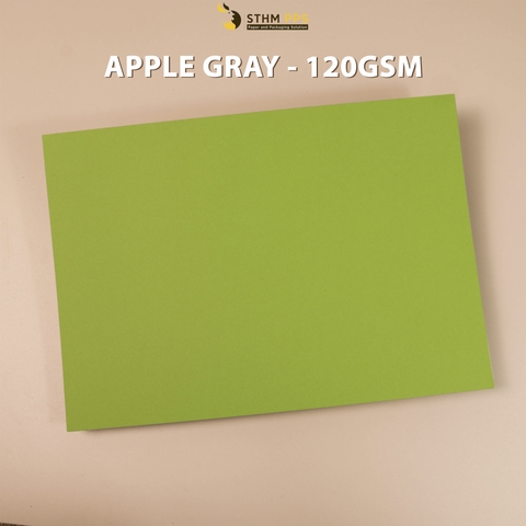 Giấy mỹ thuật 120gsm xấp 10 tờ