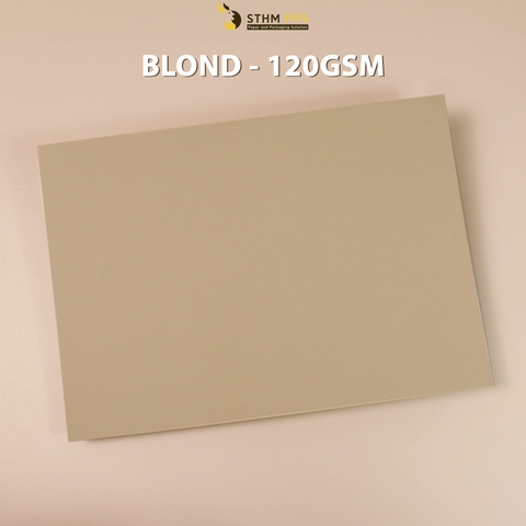 Giấy mỹ thuật 120gsm xấp 10 tờ