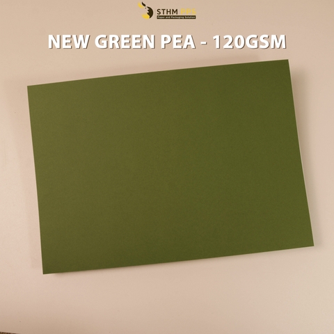 Giấy mỹ thuật 120gsm xấp 10 tờ