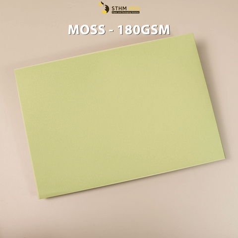 Giấy mỹ thuật 180gsm xấp 10 tờ A4