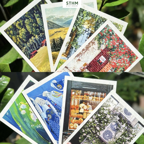 Thiệp giấy Postcard A6 xấp 8 cái