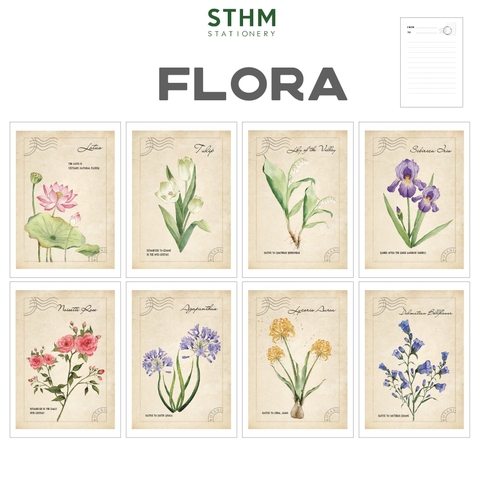 Thiệp giấy Postcard A6 xấp 8 cái