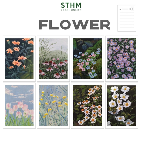 Thiệp giấy Postcard A6 xấp 8 cái