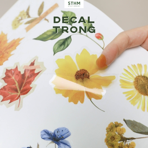 Giấy tự dính (sticker) in theo yêu cầu A4  (25 cái nhãn)