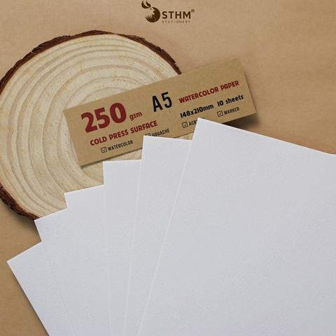 Giấy mỹ thuật Canson 250gsm xấp 10 tờ