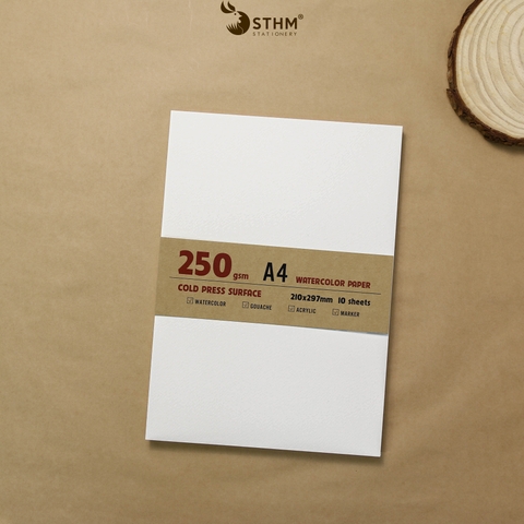Giấy mỹ thuật Canson 250gsm xấp 10 tờ