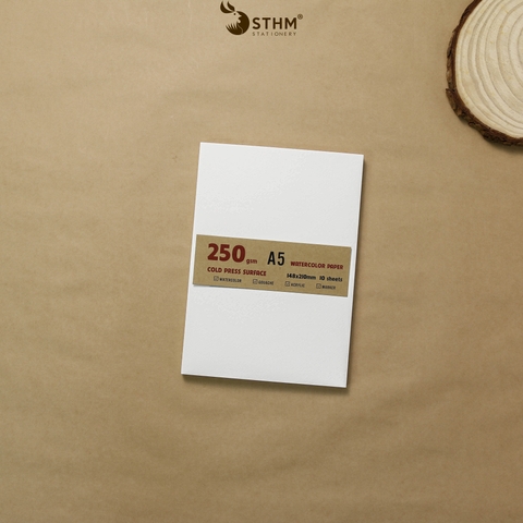 Giấy mỹ thuật Canson 250gsm xấp 10 tờ