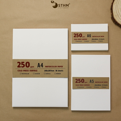 Giấy mỹ thuật Canson 250gsm xấp 10 tờ