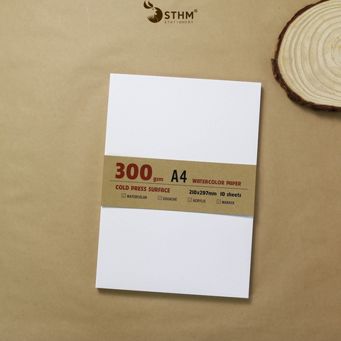 Giấy mỹ thuật Canson 300gsm xấp 10 tờ