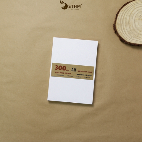 Giấy mỹ thuật Canson 300gsm xấp 10 tờ