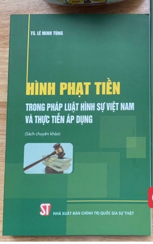 Hình phạt tiền trong pháp luật hình sự Việt Nam và thực tiễn áp dụng (Sách chuyên khảo)