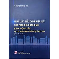 Pháp luật điều chỉnh hiệu lực của giao dịch bảo đảm bằng động sản tại các ngân hàng thương mại ở Việt Nam (Sách chuyên khảo)