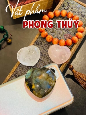 CHANH MUDI