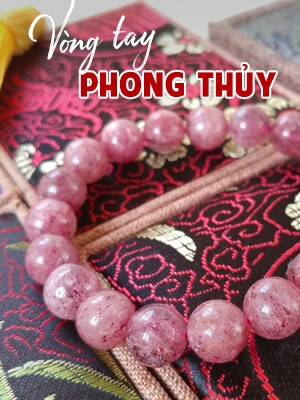 CHANH MUDI
