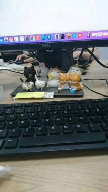 sp có nhieuef phiên bản