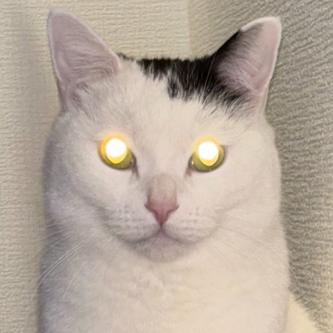 Sản phẩm ảo ma canada