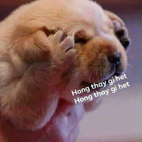 Chảo siêu chống dính Sunhouse