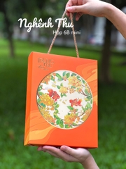 Bộ túi hộp trung thu 6 bánh các mẫu