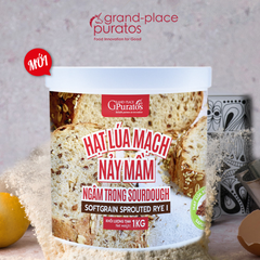 Hạt lúa mạch nảy mầm ngâm Sourdough xô 1kg